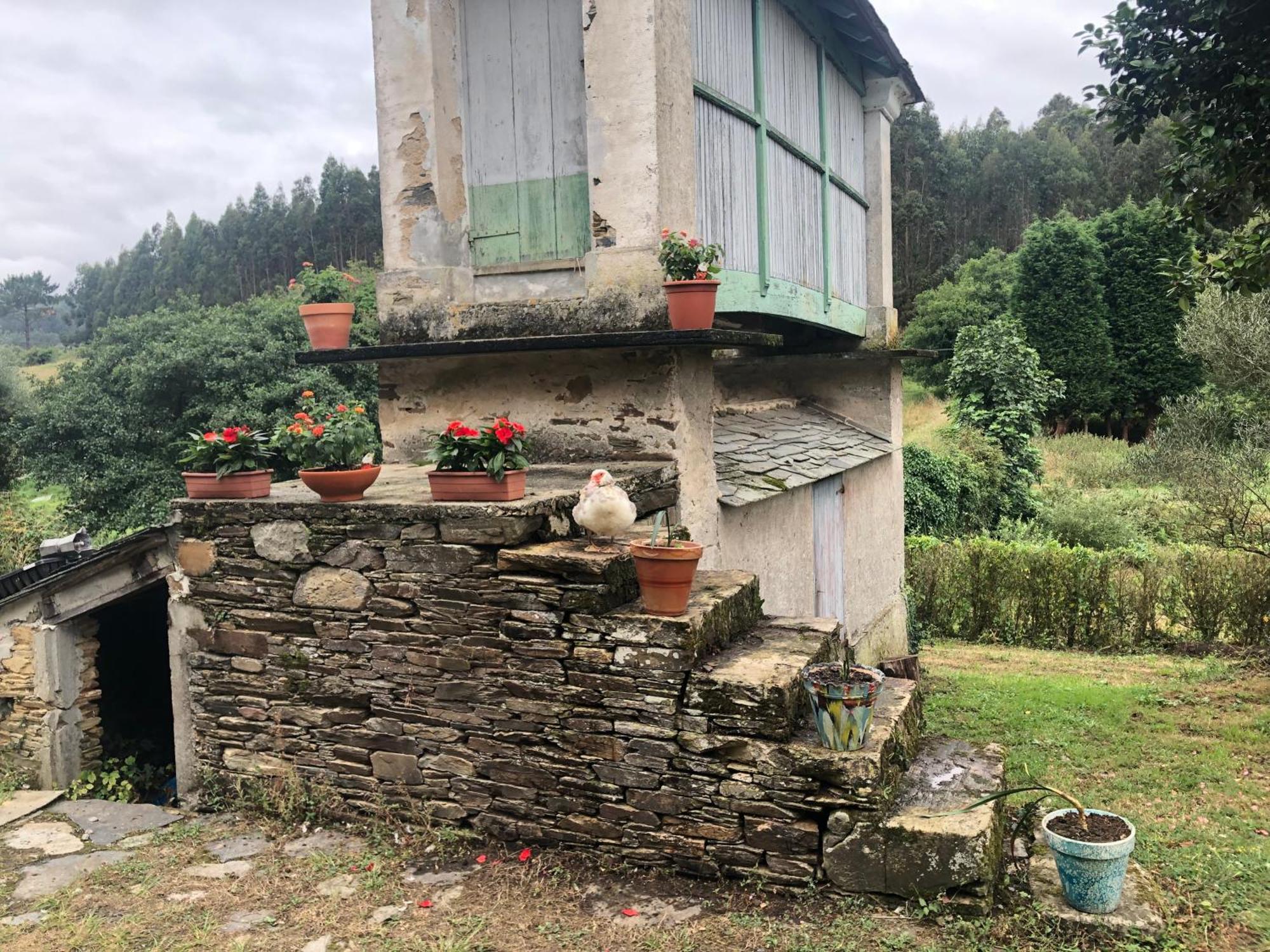 Casa De Campo Pumarada De Oirin Foz Eksteriør billede