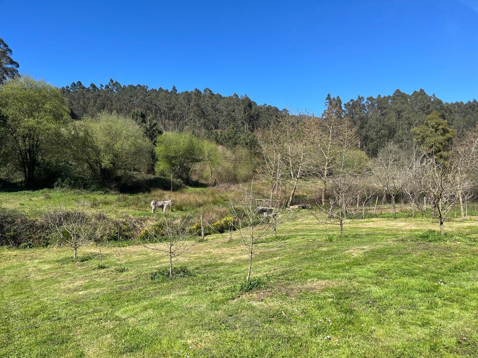 Casa De Campo Pumarada De Oirin Foz Eksteriør billede